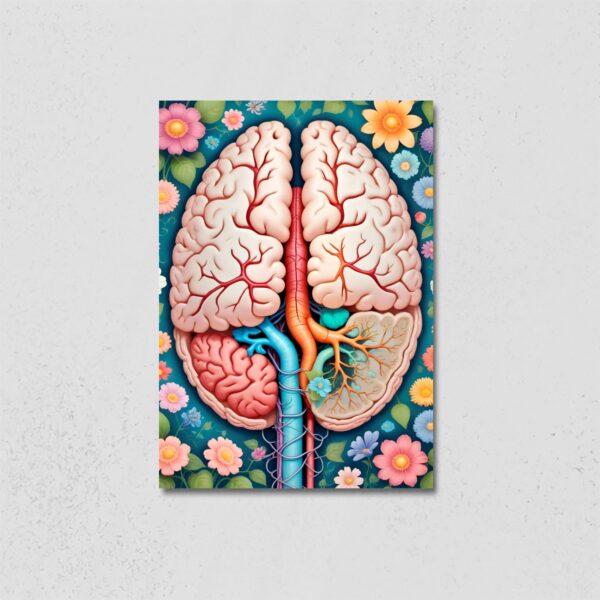 Stylized brain and lungs anatomy poster with colorful floral background – ideal for doctors and clinics