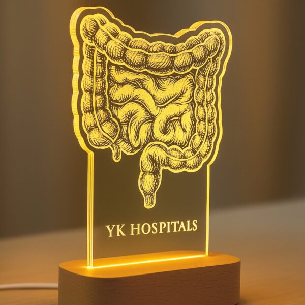 Custom LED night lamp featuring an intricate anatomical illustration of the human intestine with the engraving "YK Hospitals," glowing on a wooden base in a clinical setting.