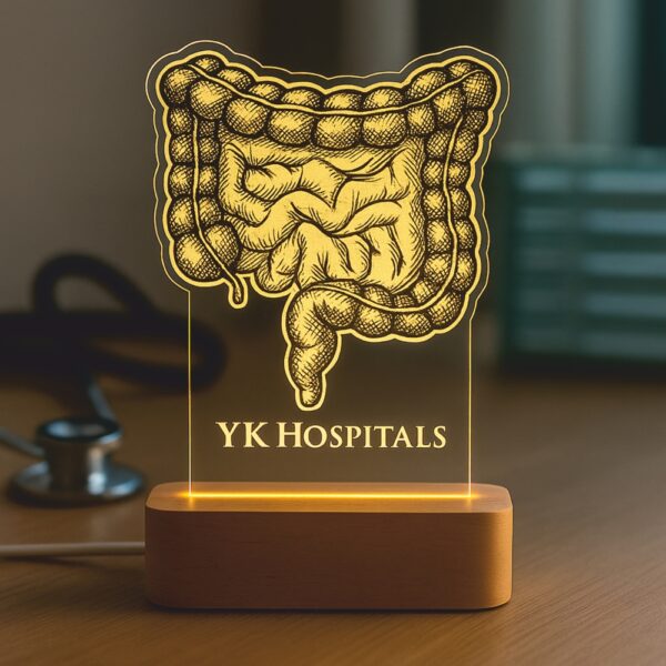 Custom LED night lamp featuring an intricate anatomical illustration of the human intestine with the engraving "YK Hospitals," glowing on a wooden base in a clinical setting.