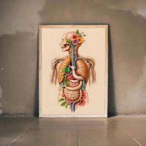 Artistic human anatomy illustration with internal organs and floral elements – doctor wall poster