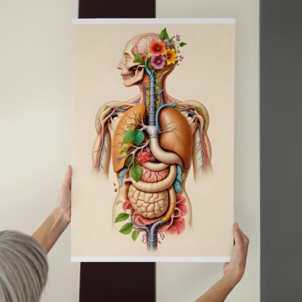 Artistic human anatomy illustration with internal organs and floral elements – doctor wall poster