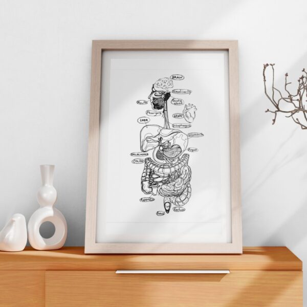 Black and white illustrated human digestive system poster with organ names labeled in handwriting style