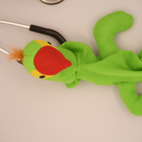 Bright green parrot-themed stethoscope skin with a red beak and tuft of feathers wrapped around a stethoscope.