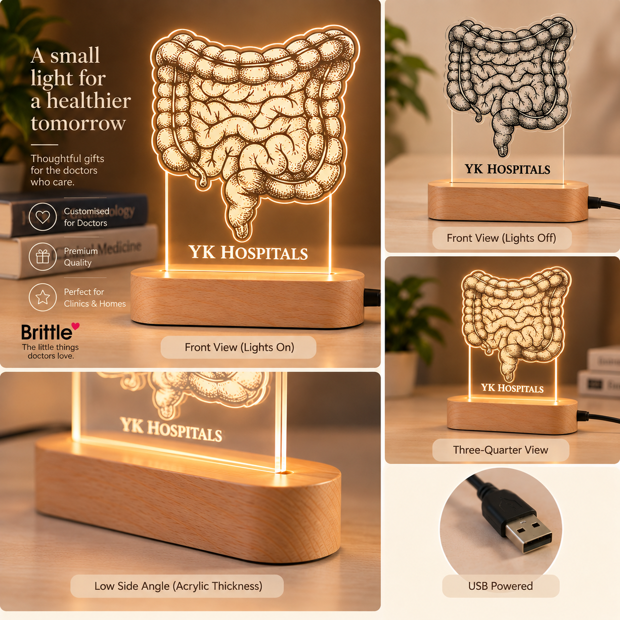 Night Lights - Gastrointestinal Tract (1)